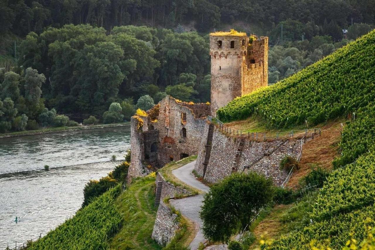 Hotel Trapp Rüdesheim am Rhein Kültér fotó