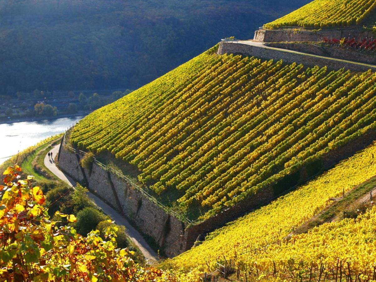 Hotel Trapp Rüdesheim am Rhein Kültér fotó