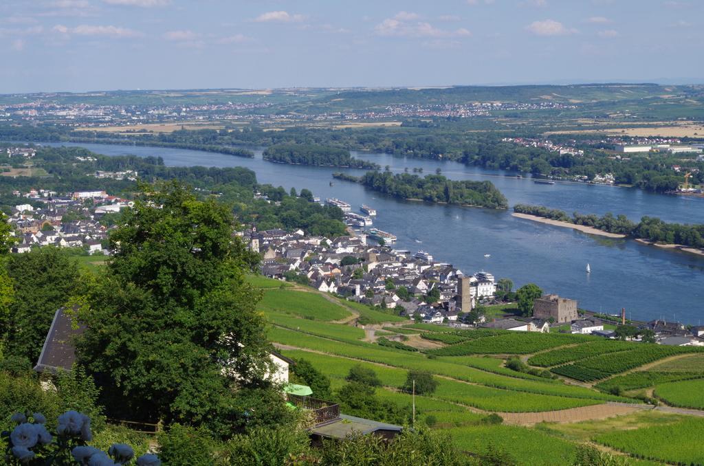 Hotel Trapp Rüdesheim am Rhein Kültér fotó