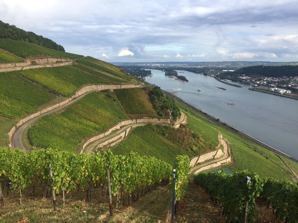 Hotel Trapp Rüdesheim am Rhein Kültér fotó