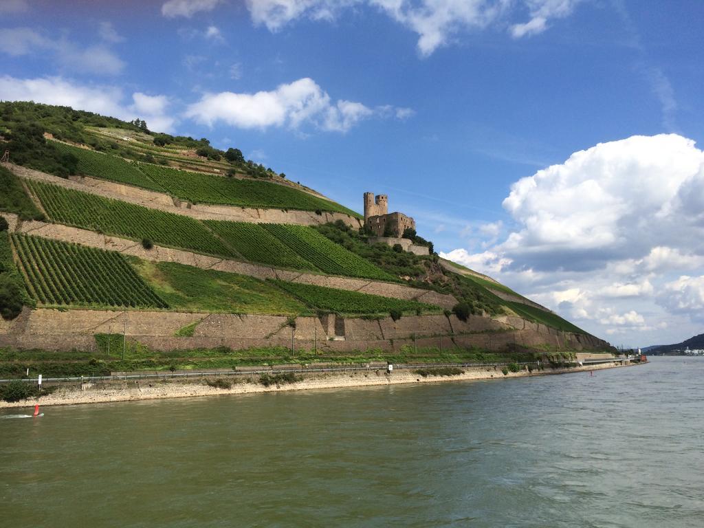 Hotel Trapp Rüdesheim am Rhein Kültér fotó
