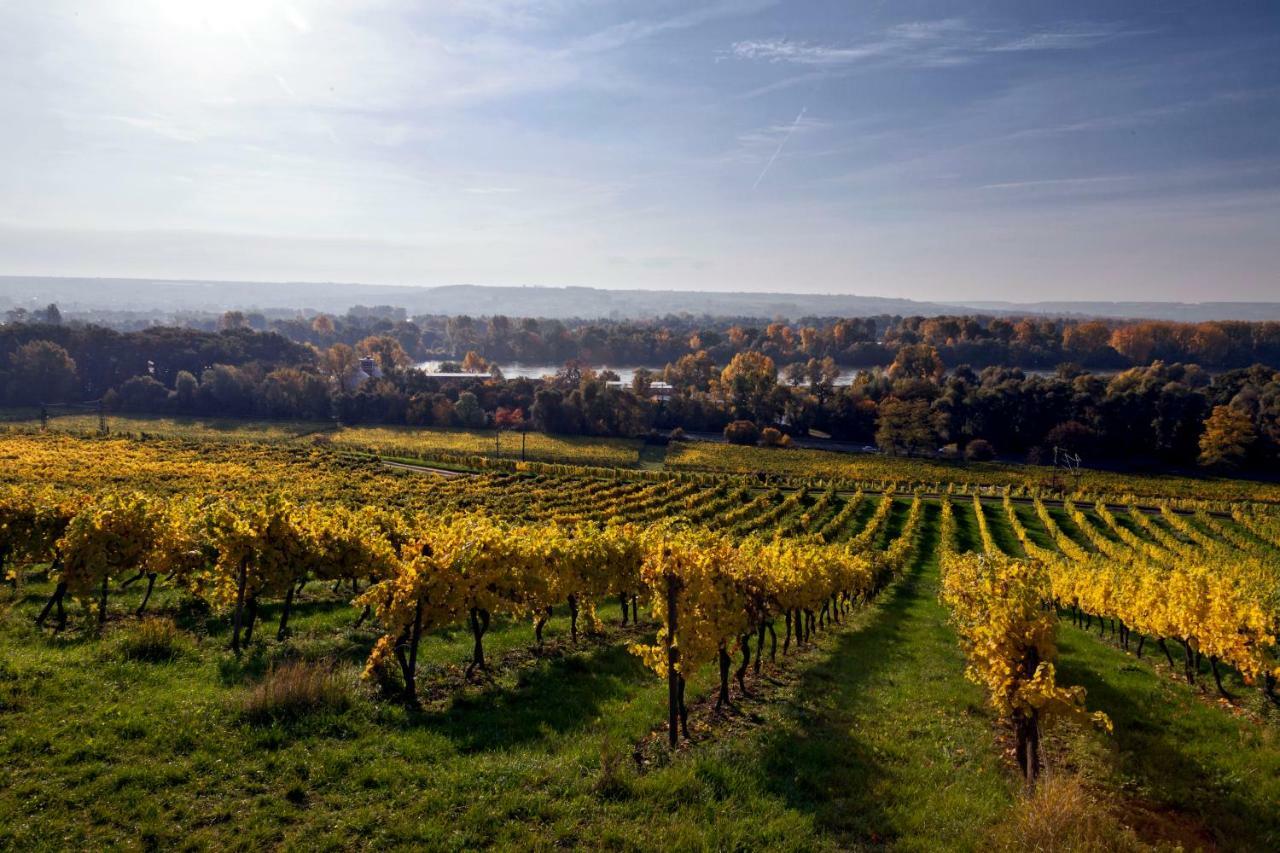 Hotel Trapp Rüdesheim am Rhein Kültér fotó
