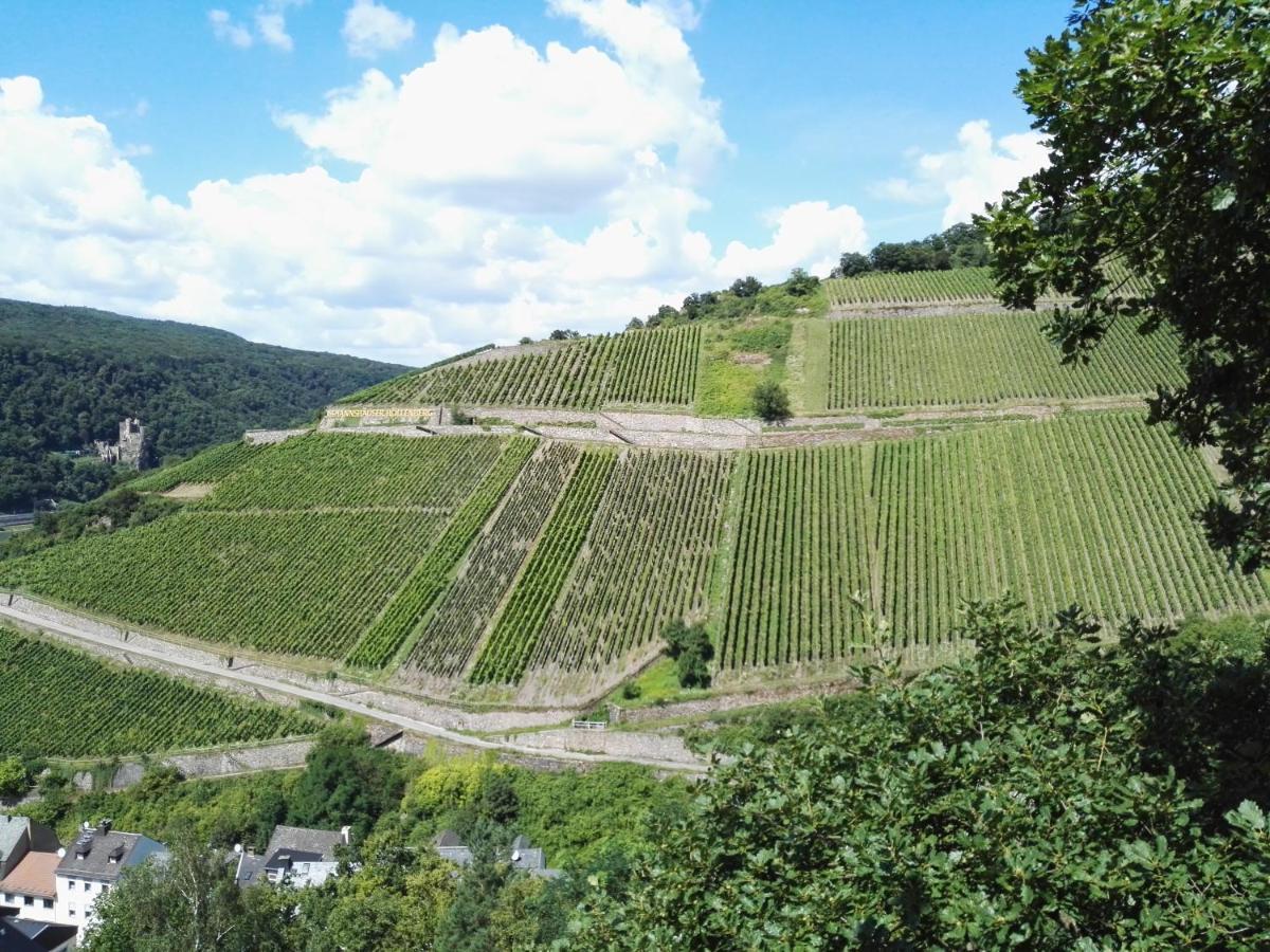 Hotel Trapp Rüdesheim am Rhein Kültér fotó